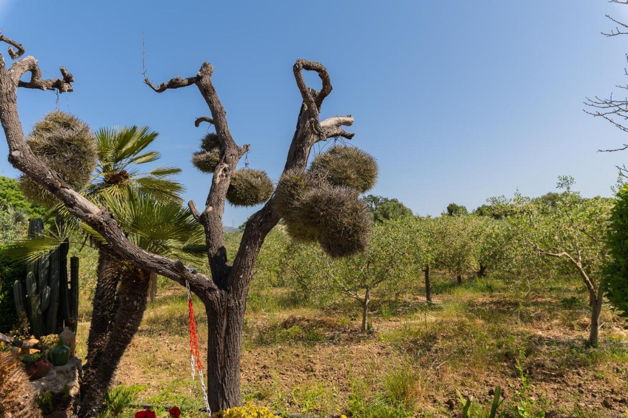 Finca Sa Sini Búger Exteriér fotografie